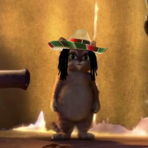 Meet your Posher, Andrew